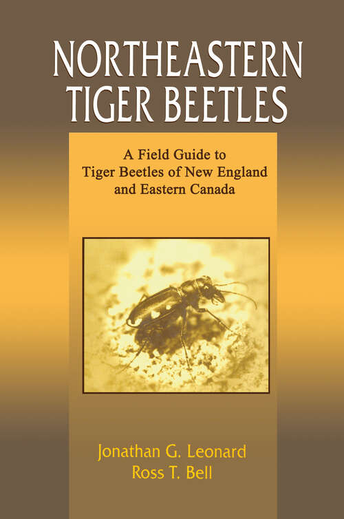 Book cover of Northeastern Tiger Beetles: A Field Guide to Tiger Beetles of New England and Eastern Canada