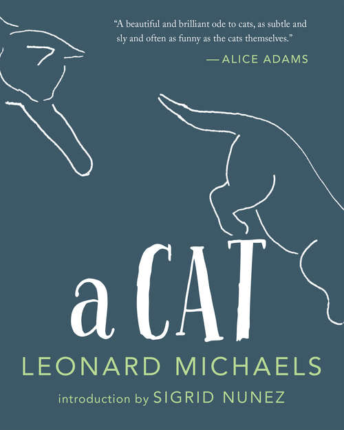 Book cover of A Cat