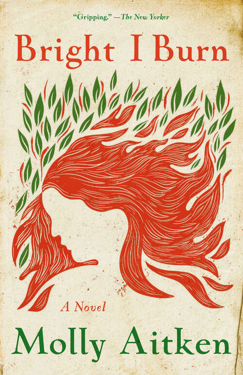 Book cover of Bright I Burn: A Novel