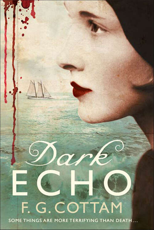 Book cover of Dark Echo: A Ghost Story
