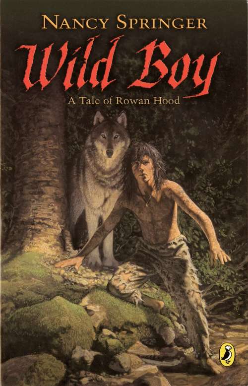 Book cover of Wild Boy: A Tale of Rowan Hood