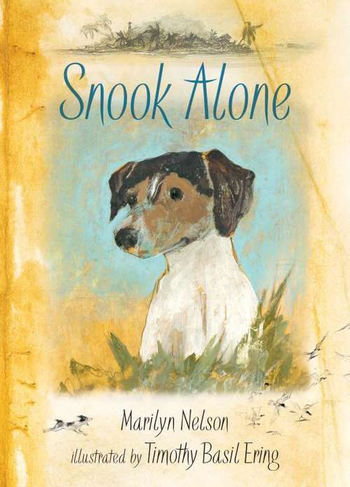 Book cover of Snook Alone