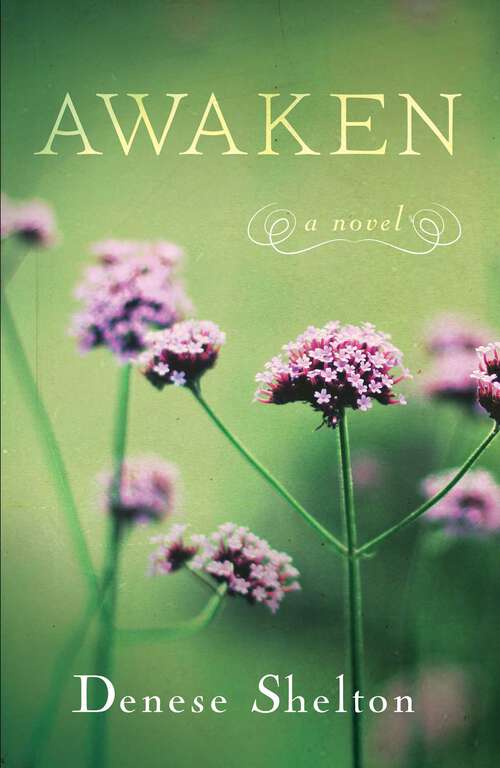 Book cover of Awaken: A Novel