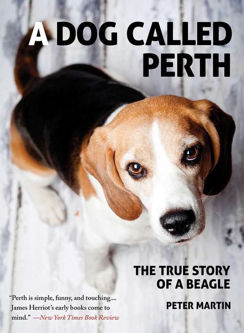 Book cover of A Dog Called Perth