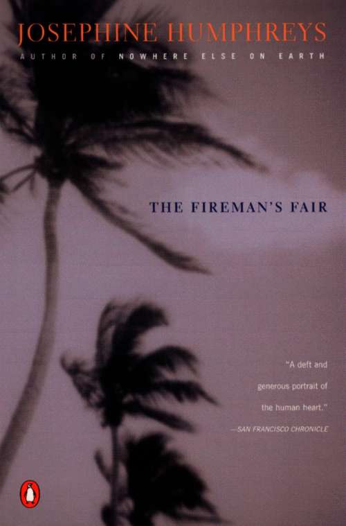 Book cover of The Fireman's Fair
