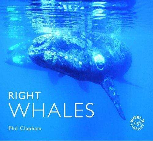 Book cover of Right Whales (Worldlife Library)