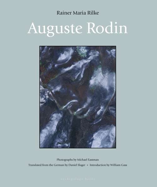 Auguste Rodin (Lives Of The Artists Ser.)