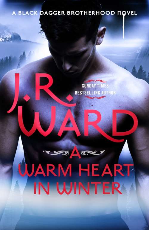 Book cover of A Warm Heart in Winter