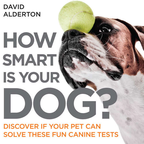 Book cover of How Smart Is Your Dog?