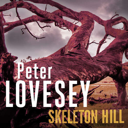 Book cover of Skeleton Hill: 10 (Peter Diamond Mystery #10)