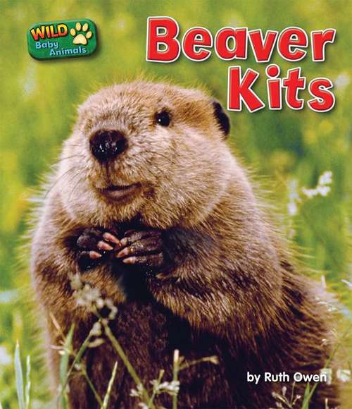 Book cover of Beaver Kits (Wild Baby Animals)