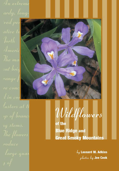 Book cover of Wildflowers of Blue Ridge and Great Smoky Mountains