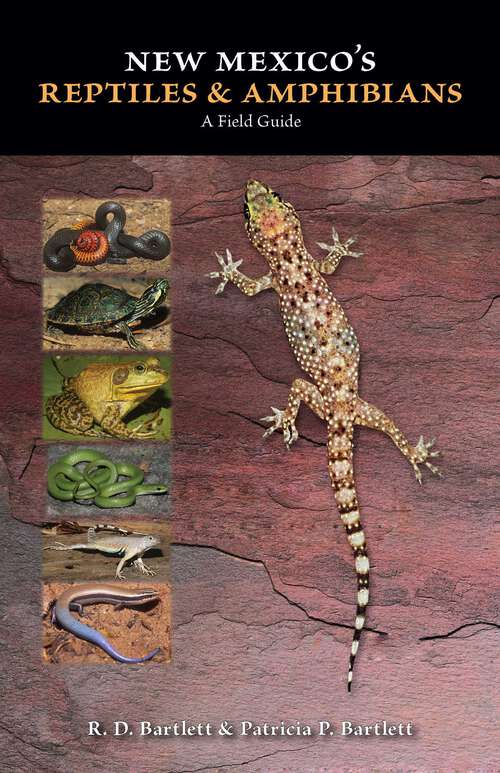 Book cover of New Mexico's Reptiles and Amphibians: A Field Guide