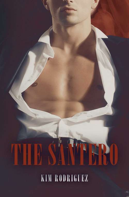 Book cover of The Santero