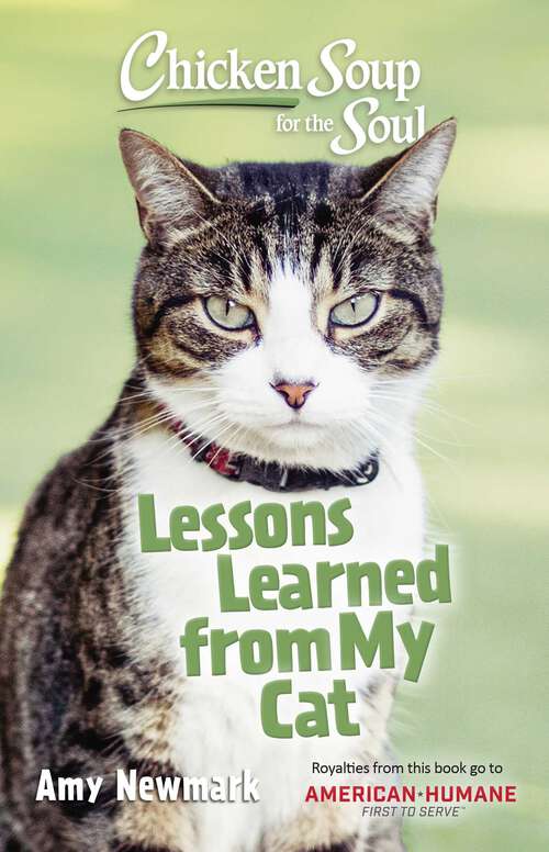 Book cover of Chicken Soup for the Soul: 101 Tales of Friendship & Fun