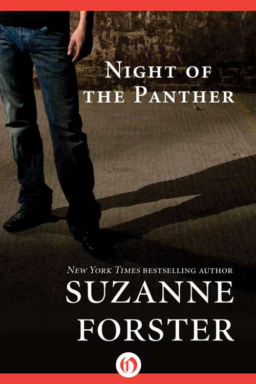 Book cover of Night of the Panther