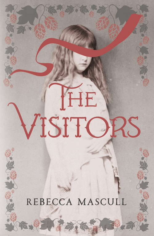 Book cover of The Visitors
