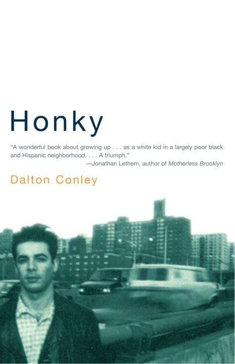 Book cover of Honky