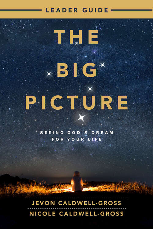 The Big Picture Leader Guide: Seeing God's Dream for Your Life