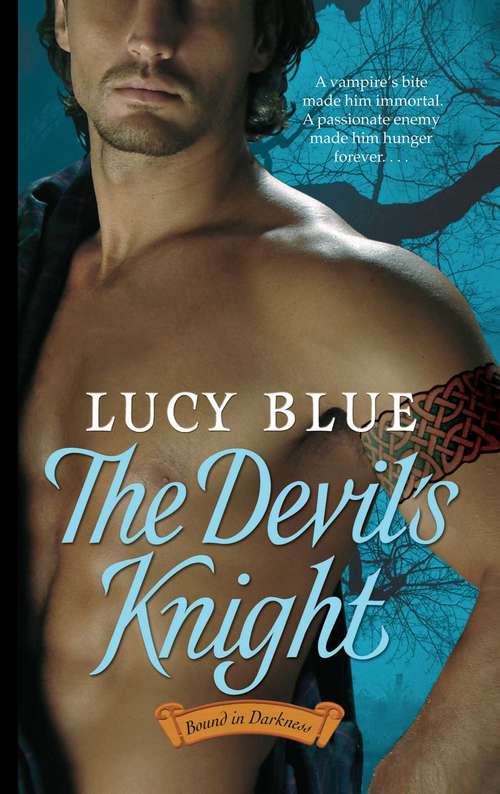 Book cover of The Devil's Knight