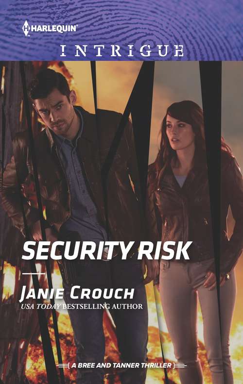 Security Risk (The Risk Series: A Bree and Tanner Thriller #2)
