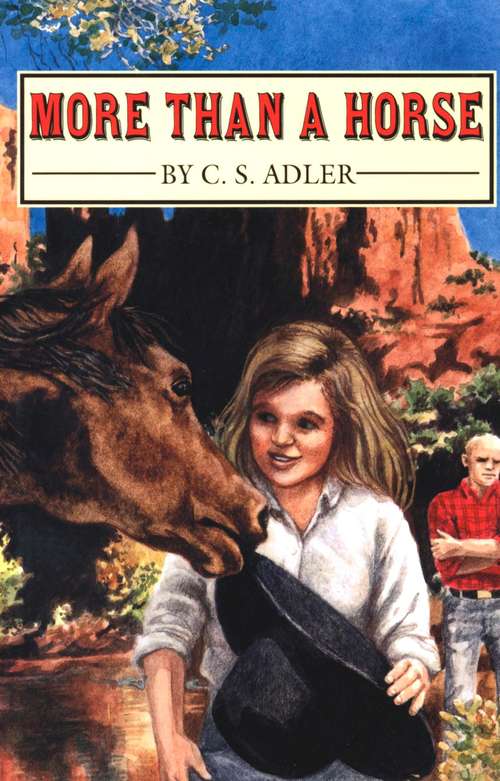 Book cover of More Than a Horse