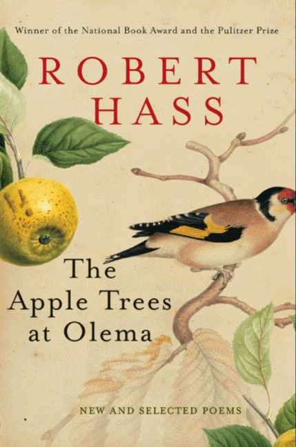Book cover of The Apple Trees at Olema