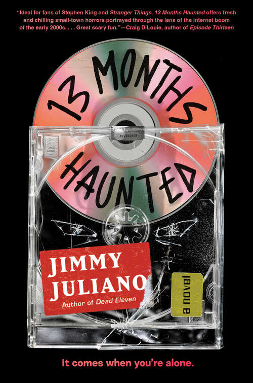 Book cover of 13 Months Haunted: A Novel