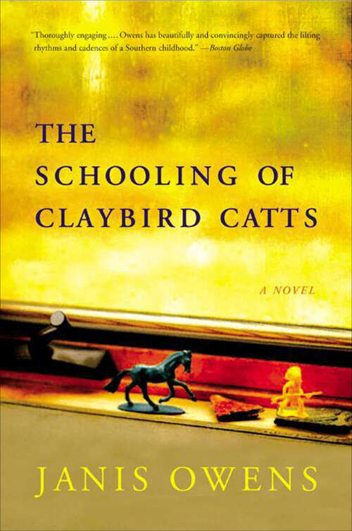 Book cover of The Schooling of Claybird Catts