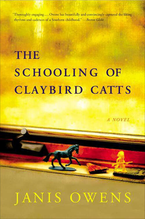 Book cover of The Schooling of Claybird Catts: A Novel