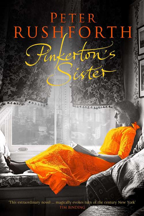 Book cover of Pinkerton's Sister