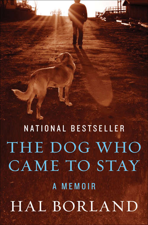 Book cover of The Dog Who Came to Stay: A Memoir