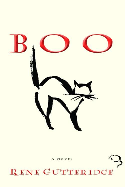 Book cover of Boo (Boo Series)