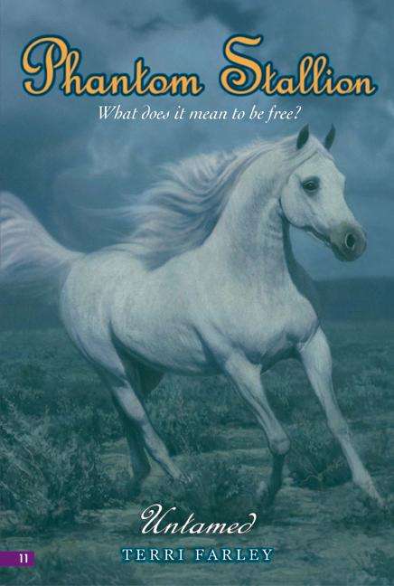 Book cover of Phantom Stallion #11: Untamed