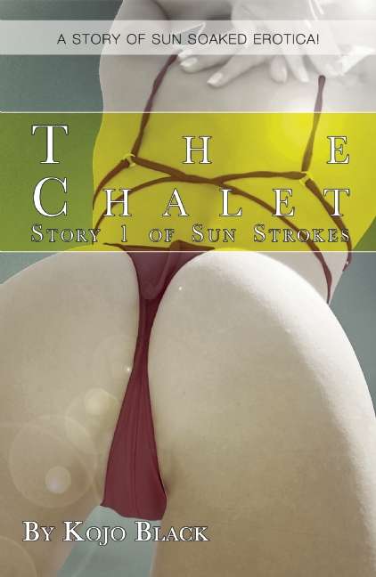 Book cover of The Chalet
