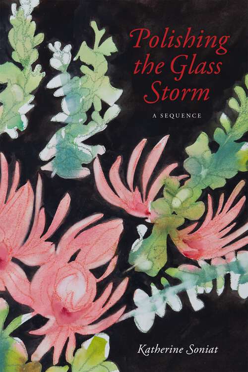 Book cover of Polishing the Glass Storm: A Sequence