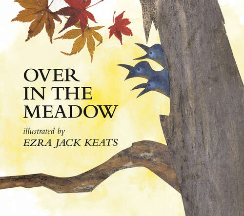Book cover of Over in the Meadow