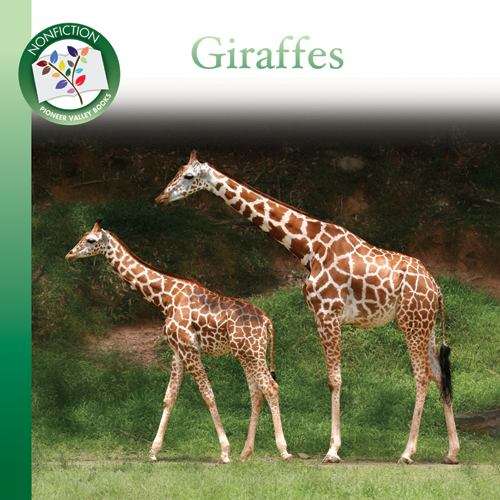 Book cover of Giraffes
