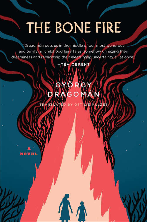 Book cover of The Bone Fire: A Novel