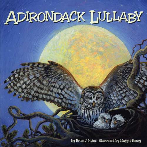 Book cover of Adirondack Lullaby