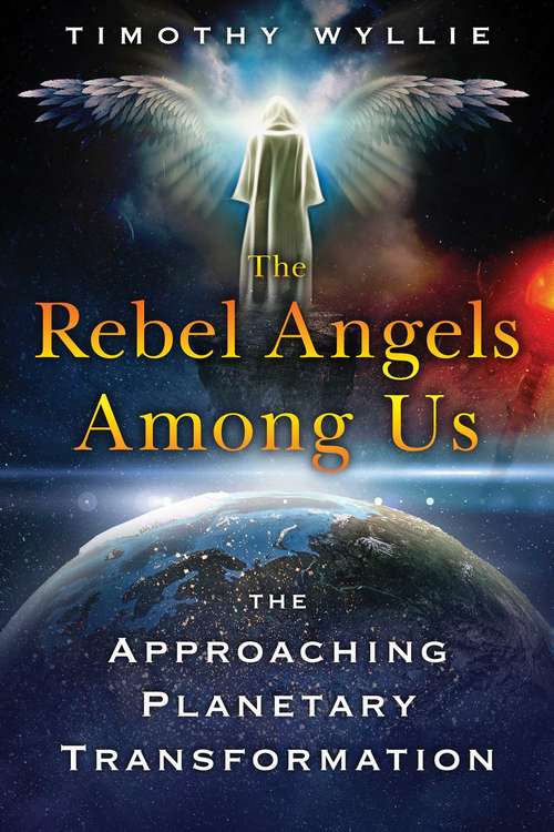 Book cover of The Rebel Angels among Us: The Approaching Planetary Transformation