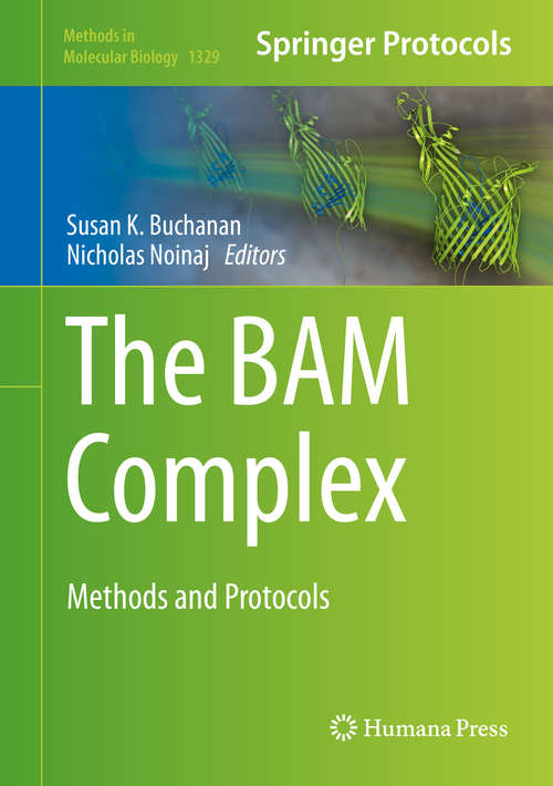 Book cover of The BAM Complex