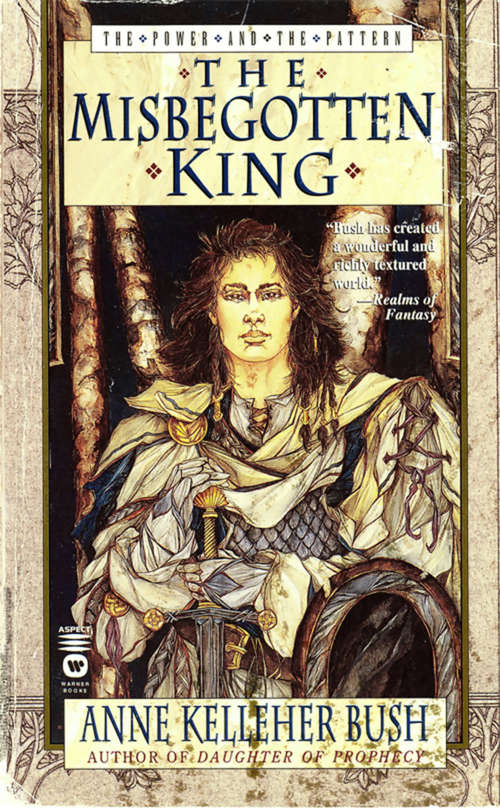 Book cover of The Misbegotten King (The Power and the Pattern, Book 3)