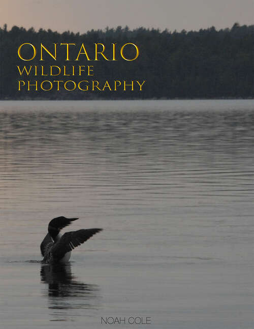 Book cover of Ontario Wildlife Photography