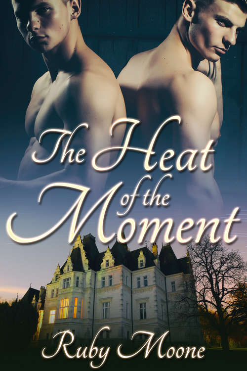 Book cover of The Heat of the Moment