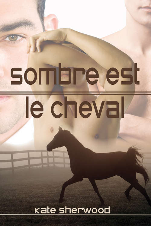 Book cover of Sombre est le cheval (Californie équestre #1)