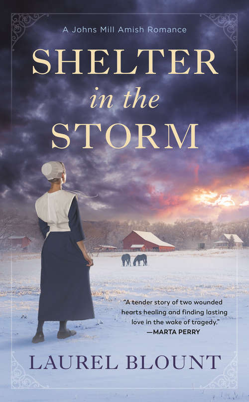Shelter in the Storm (A Johns Mill Amish Romance #1)
