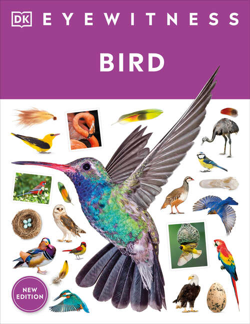 Book cover of Eyewitness Bird (DK Eyewitness)