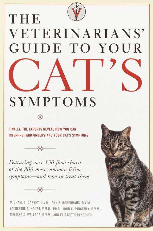 The Veterinarian's Guide to Your Cat's Symptoms