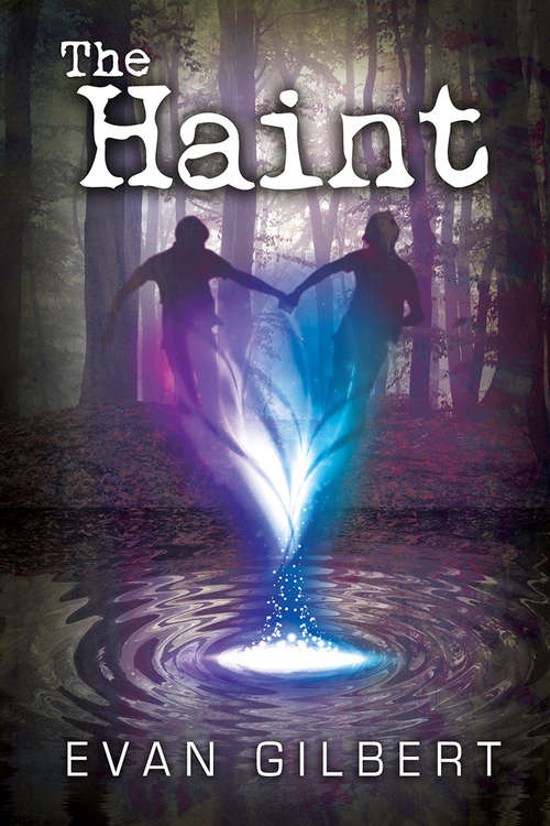 Book cover of The Haint